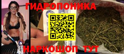 индика Дубна