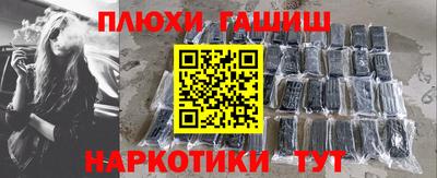 индика Дубна